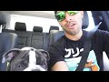 A day in the life of GOKU!   Vlog Episode 3