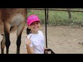 Mulemanship Series Episode 02: “Why the Mule”