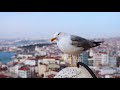 FLYING OVER TURKEY (4K UHD) - Wonderful Natural Landscape With Calming Music (4K Video Ultra HD)