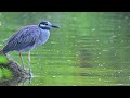 2024 Arbor Hills Nature Preserve