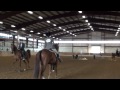 ASAM Summer Spectacular-Junior Pleasure Horse class