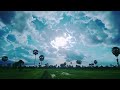 Landscape of rice fields