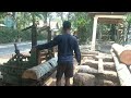 Sawmill Operation | Hard and Old Wood Turning into Perfect Beams