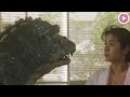 Godzilla Evolution in Movies & TV Shows & Cartoons / Facts (1954-2024)