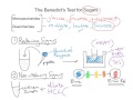 mr i explains: The Benedict's test for Sugars