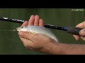 Float Fishing Masterclass - Bodied Waggler