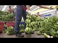 Thailand banana farm harvesting process - Thai street food