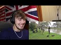 American Reacts to 50 OUTRAGEOUS Wild Animals Moments From Australia..