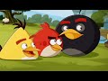 🛑ИСТОРИЯ ВСЕХ ХРЮШЕК ИЗ ANGRY BIRDS!