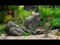 ★ Dream Aquarium ★ UHD Screensaver ★ 10 FishTanks ★ 60fps ★