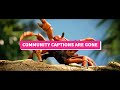 🦀COMMUNITY CAPTIONS ARE GONE🦀