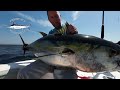 Tony's Omani yellowfin 2nd cast