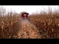 IH 615 Combine in Corn 2015