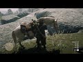 Red Dead Redemption 2 Killing the giant boar