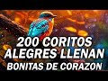 Mas De 200 Coros Avivamiento Pentecostal - Coros Cristianos Antiguos - Cadena De Coros Viejos