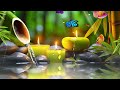 Beautiful Relaxing Music for Stress Relief, Peaceful Piano Music, Sleep Music, Meditation Music, BGM