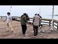 Fishermen Catch 7 ft Shark Ventura Pier July 2, 2024