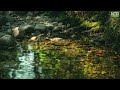 Relax Music With Water Flowing Sound   Relax Melodies