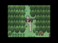 Hollow Woods Pokémon: Regional Variants