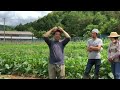 【有機農業】桐島畑の野菜栽培