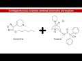 Schizophrenia Treatment Revolution? Introducing Xanomeline: Potential and Latest Updates