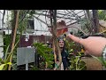 Rare Plant Shop Tour and Haul!! | Sport Variegation Find | Uncommon Houseplants