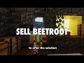 Making Beetroot The MOST VALUABLE Item On This Minecraft Server