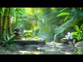 Healing Music to Relieve Stress, Fatigue🌿Relaxing Soothing Piano Music & Nature Sounds