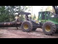 Logging Operation In The Woods