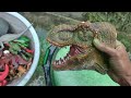 Dinosaurus Jurassic World Dominion: T-rex,Mosasaurus,Gigantosaurus, Godzilla, KingKong,Brachiosaurus