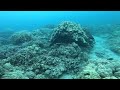 Hanauama Bay reef exterior