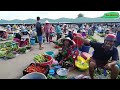 Countryside market - in the rainy season - People doing business happily Fun - and lots of fish