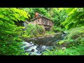 The Sound Of Running Water Helps You Dispel All Fatigue | Piano Music, Yoga Music, Study Music