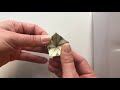 How to Fold a Dollar Bill into a Plumeria Flower