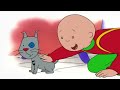 Caillou and the Emergency | Caillou Cartoon