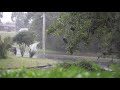 [4K] Healing by Nature - Rainy Day Relaxation - Sydney Australia - Healing Nature