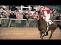 10 greatest race horses