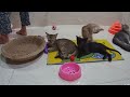 😻💖#💖🥰CLASSIC Dog and Cat Videos🐶1 HOURS of FUNNY Clips💖