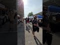 Ohio University Flute Studio plays at the Athens Farmers Market on May 25, 2024, Part 1 of 2