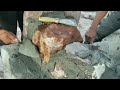 La Muchacha Albañil pegando piedra #construccion