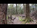 Virtual Run | Virtual Running Videos Treadmill Workout Scenery | Kepler Track Forest 1 Hour