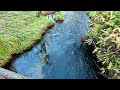 【4K Japan Walk】A Popular Tourist Destination where you can enjoy Japanese Beautiful Nature Kamikochi