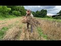 Wheat Harvest In Appalachia v187