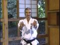 Uechi-ryu combat strategy