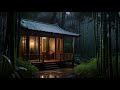 Sleep Tight to 8 Hours of Soothing Night Rain in Bamboo Forest | Stress Relief | White Noise