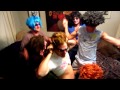 Wannabe- Spice Girls: The guys getting down