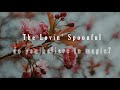 The Lovin' Spoonful - Do You Believe in Magic?// Slowed+reverb+bass