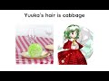 Objects that look like Touhou characters