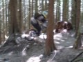 jump at the woodlot