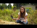 Easy Trick to Store a YEAR'S Worth of Potatoes | Harvesting Potatoes